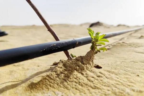 1745818915586165.jpg 8.jpg