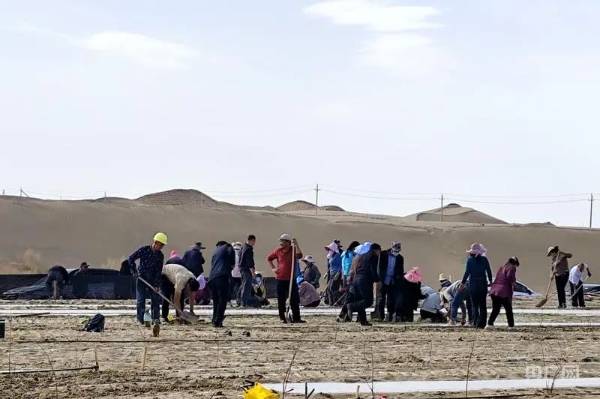 1745818922380701.jpg 9.jpg