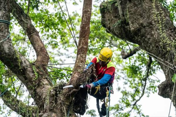 1745819019711877.jpg 10.jpg