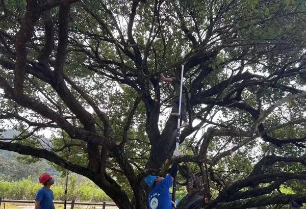 1745819054972551.jpg 11.jpg