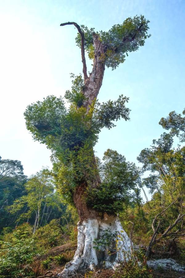 1745819066976171.jpg 12.jpg