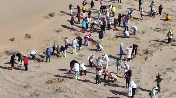 1745820868639073.jpg 1.jpg