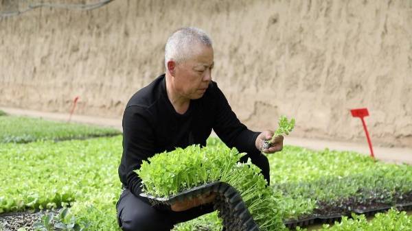 1745820883426321.jpg 3.jpg