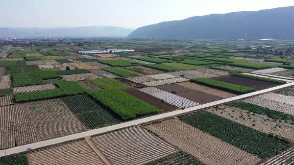 1745820895590436.jpg 5.jpg