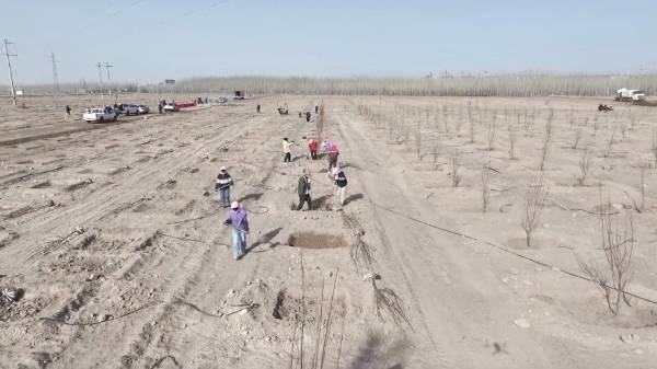 1745820904152888.jpg 6.jpg