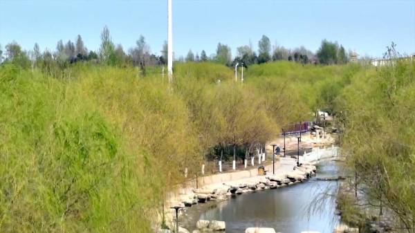 1745820909650329.jpg 7.jpg