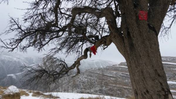 1745894653911346.jpg 1 (1).jpg