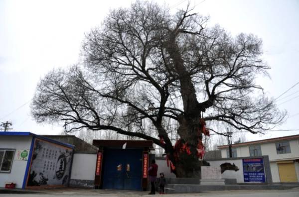 1745894662617088.jpg 2 (1).jpg