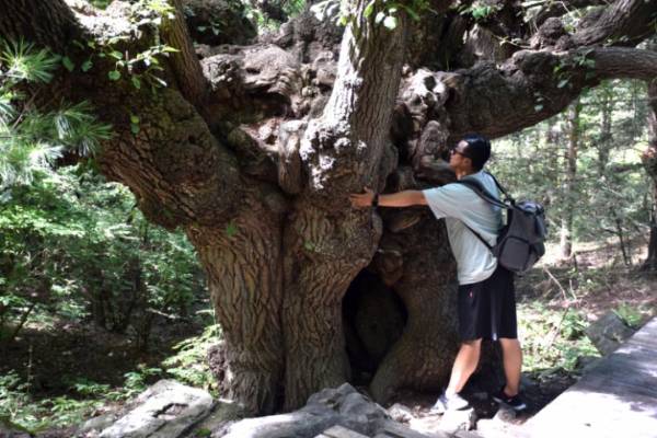 1745894675181497.jpg 3 (1).jpg