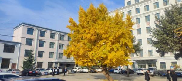 1745894684833577.jpg 4 (1).jpg