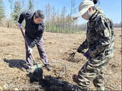 1745896148105871.jpg 3 (1).jpg