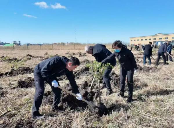 1745904039396320.jpg 1 (1).jpg