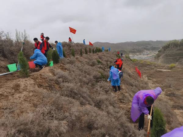 1745904659378965.jpg 4.jpg