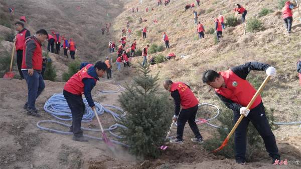 1745904704651432.jpg 9.jpg