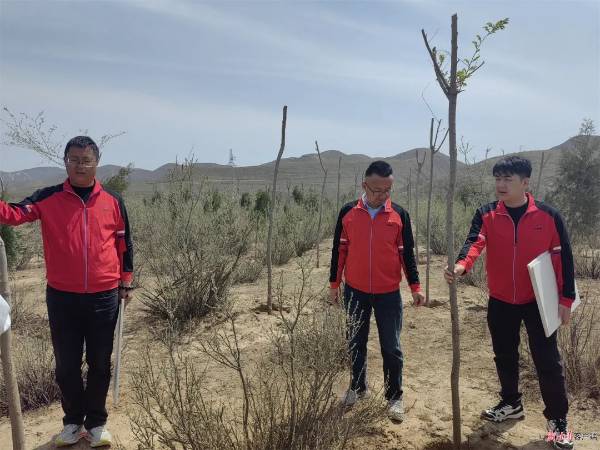 1745904719874658.jpg 11.jpg