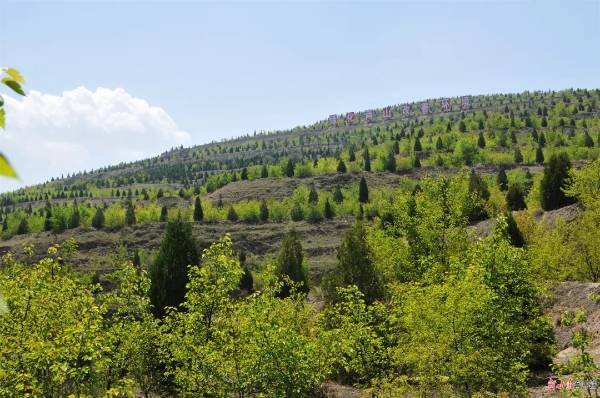 1745904733361094.jpg 13.jpg