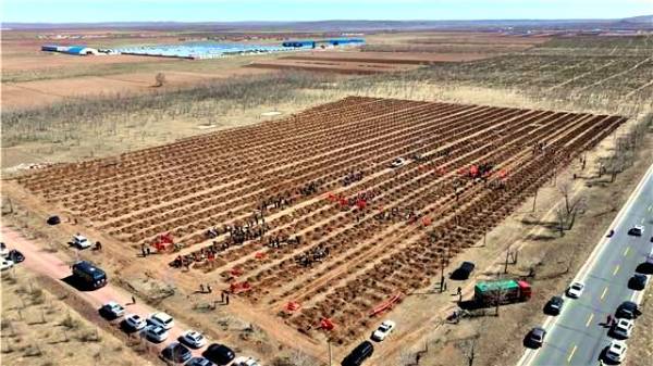 1745905675331444.jpg 1.jpg