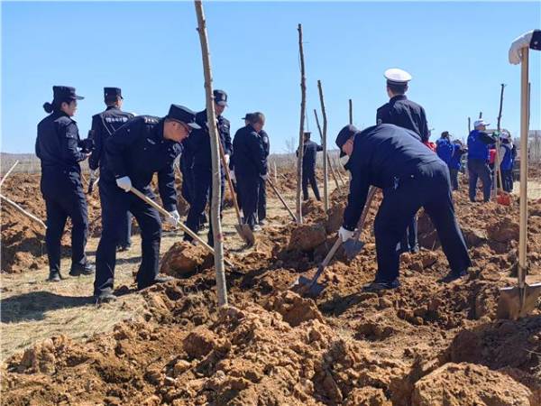 1745905721314230.jpg 6.jpg