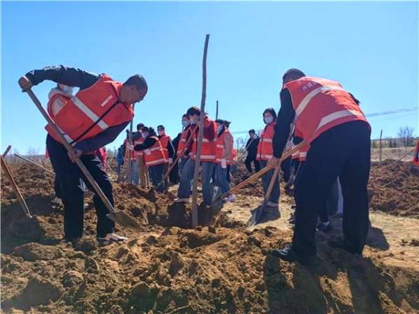 1745905763693918.jpg 8.jpg