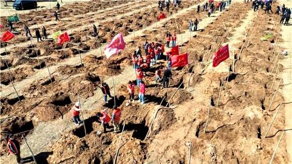 1745905770969574.jpg 9.jpg