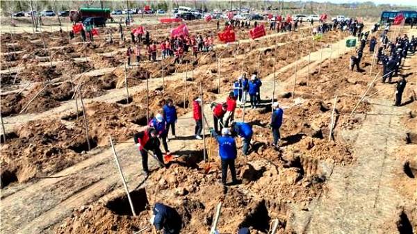 1745905773719111.jpg 10.jpg