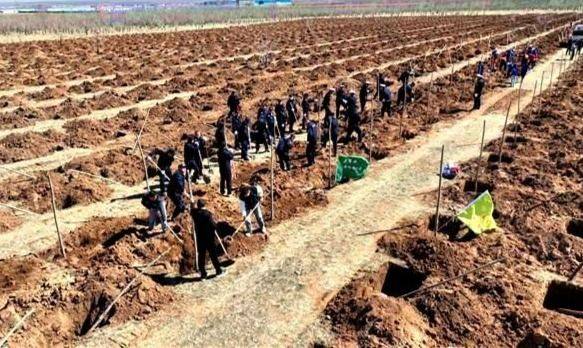 1745905777531596.jpg 11.jpg