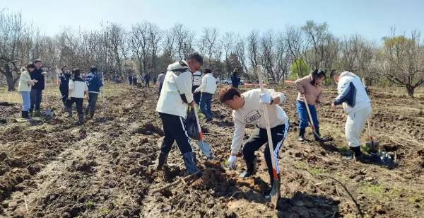 1745906018174911.jpg 640 (1) (1).jpg