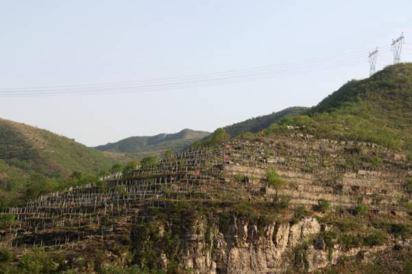 1745979004280525.jpg 2 (1).jpg