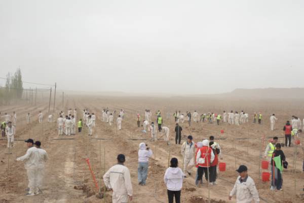 1746516516885915.jpg 1 (1).jpg