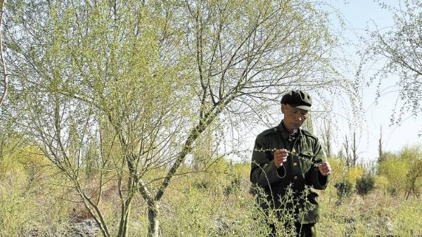 1746582120818283.jpg 2 (1).jpg