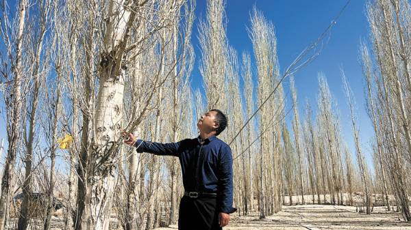 1746582129850753.jpg 3 (1).jpg