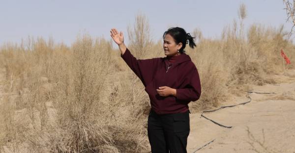 1746582137750372.jpg 4 (1).jpg