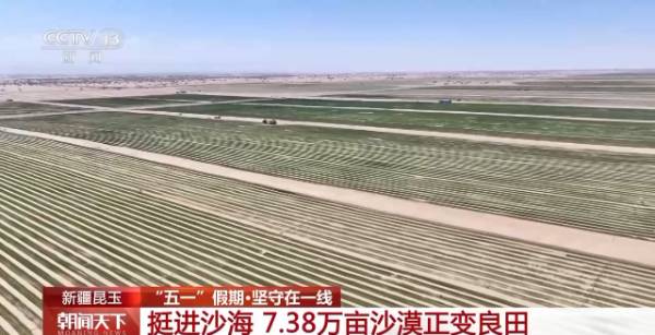 1746583481881885.jpg 3 (1).jpg