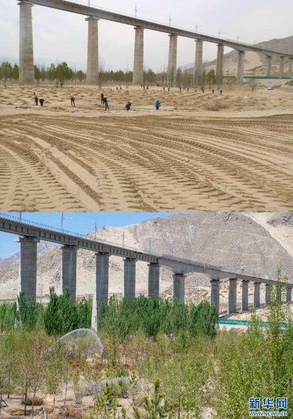 1746583715469287.png 1.png