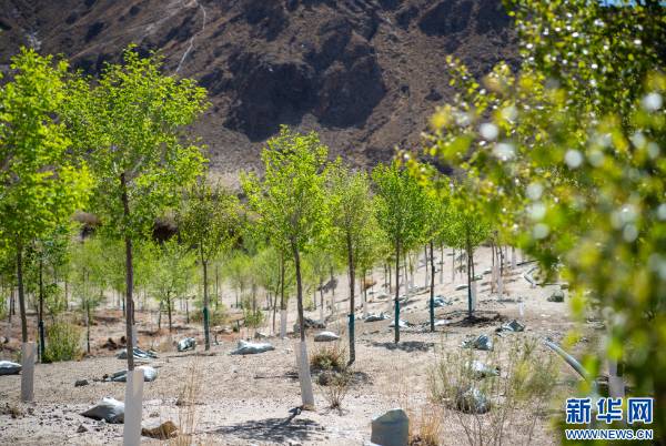 1746583745786538.png 3.png