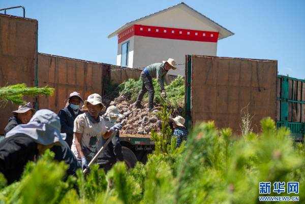 1746583754847131.png 4.png