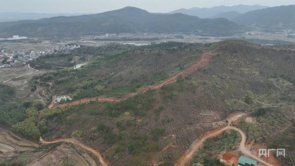 1746583997493614.jpg 8 (1).jpg