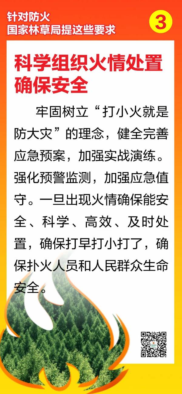 1746584814563548.jpg 3 (1).jpg