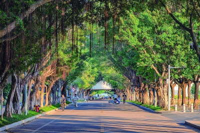 1746585301942289.jpg 1.jpg