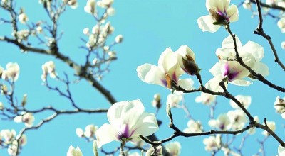 1746585307356902.jpg 2.jpg