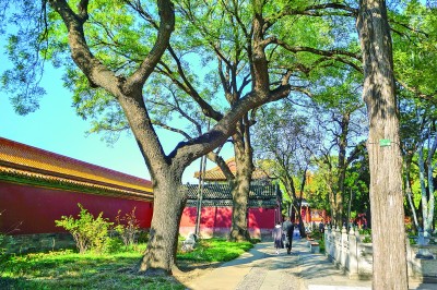 1746585318632682.jpg 4.jpg