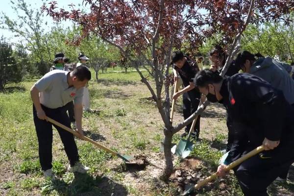 1746585786949580.jpg 1 (1).jpg