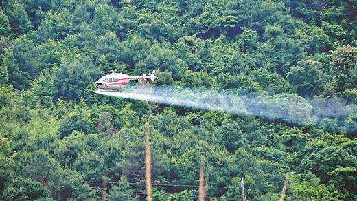 1746586068392859.jpg 2 (1).jpg