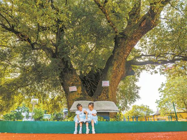 1746586620417642.jpg 4 (1).jpg