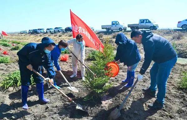 1746588329438089.jpg 1 (1).jpg