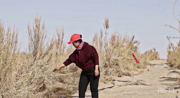 1746601759811240.jpg 1 (1).jpg