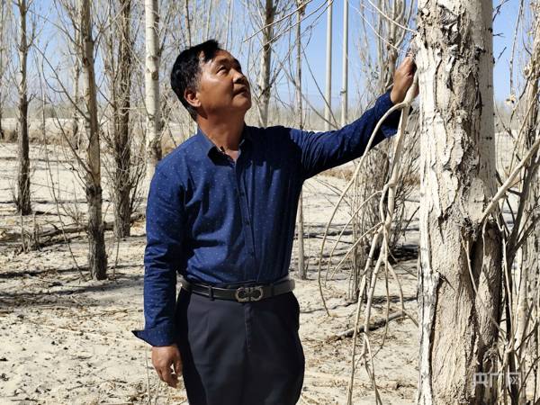 1746601785849929.jpg 2 (1).jpg