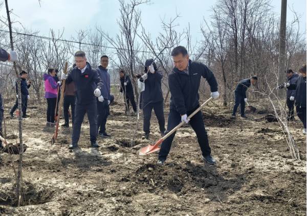 1746767787804180.jpg 1 (1).jpg