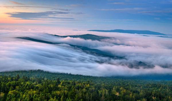 1746768280569540.jpg 1 (1).jpg