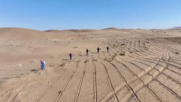 1746768727978853.jpg 1.jpg